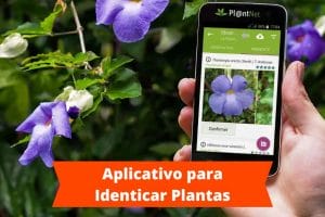 Aplicativo para Identicar Plantas